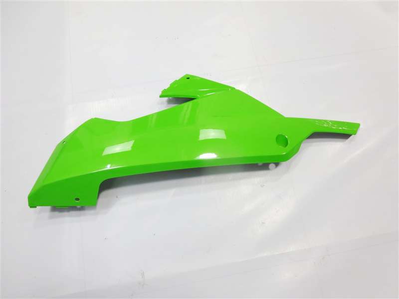 2013 ninja 300 fairings